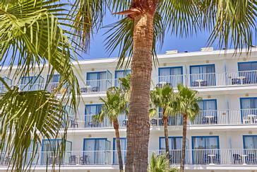 Ilusion Hotels & Resorts | Ilusion Vista Blava | Galerie 30